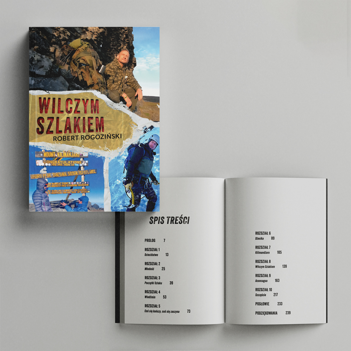 Projekt layoutu i okładki